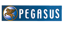 csm_Pegasus_Bronze_44b27a5603 1